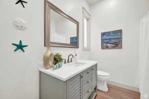 Bathroom featuring vanity, toilet, and hardwood / wood-style floors