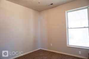 Spare room with a wealth of natural light and carpet flooring