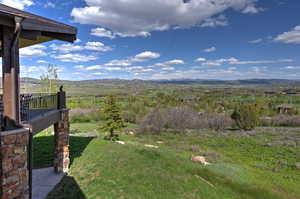 View of the Yard & Beyond