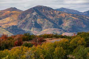 View of mountain feature