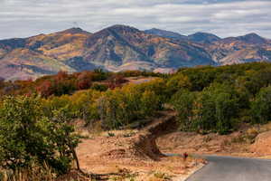 View of property view of mountains