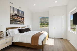 Bedroom with multiple windows, light hardwood / wood-style floors, and vaulted ceiling