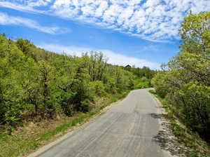 View of road