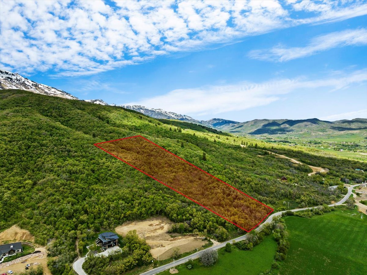 Drone / aerial view with a mountain view