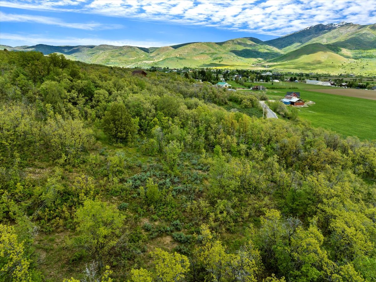 View of mountain feature