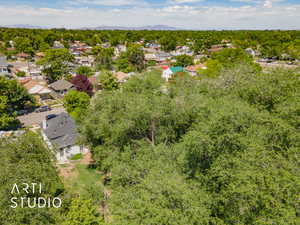 View of bird's eye view