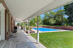 View of pool with a patio area and a yard