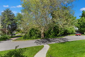 Exterior space with a lawn