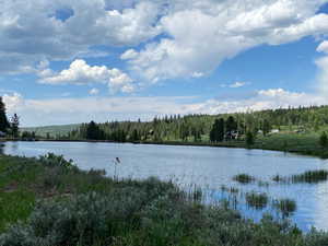 Community lake