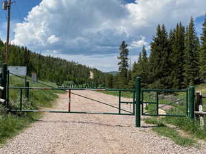 Gate at the entrance to the subdivision