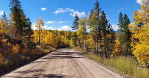 View of street