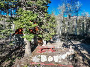 View of yard with a patio area