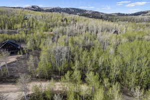 View of property view of mountains