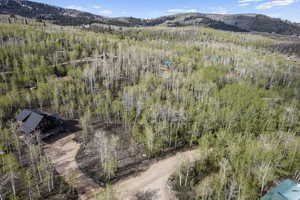 Drone / aerial view featuring a mountain view