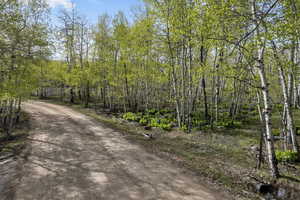 View of street