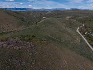 Big Groves of Trees Looking East from West Edge