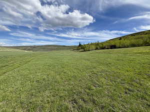 Beautiful Meadow/Valley and Grove of Trees