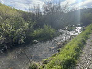 Paris Creek Next to Road