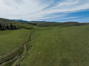 Beautiful Meadow/Valley and Grove of Trees