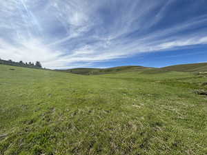 Beautiful Meadow/Valley and Grove of Trees