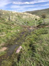 Spring in Meadow/Valley - Fenced and Protected from Cattle Tromping It