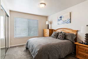 Carpeted bedroom featuring a closet