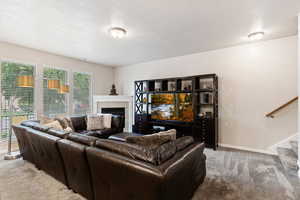 Carpeted living room featuring plenty of natural light and a tile fireplace