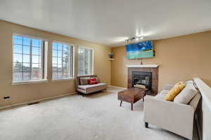 Carpeted living room featuring a fireplace and track lighting