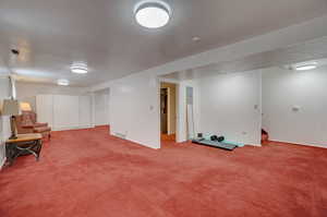 Basement with carpet