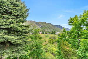 View out living room windows