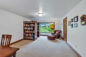 Basement bedroom