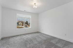 Empty room with carpet