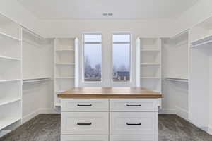 Spacious closet featuring dark carpet