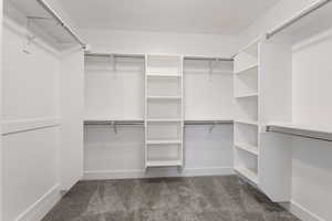 Walk in closet with carpet floors