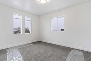 Unfurnished room featuring a healthy amount of sunlight and carpet