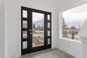 Doorway with wood-type flooring and a mountain view