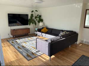 Living room featuring light hardwood / wood-style floors