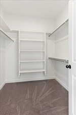 Spacious closet featuring dark carpet