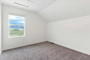 Additional living space with carpet and vaulted ceiling