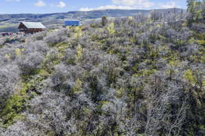 Aerial view with a mountain view