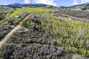 Birds eye view of property featuring a mountain view