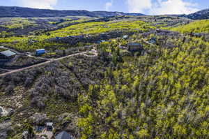 Bird's eye view featuring a mountain view