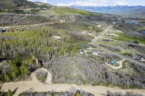 Aerial view featuring a mountain view