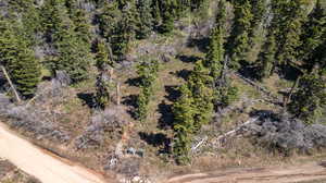 Photo 6 of 2020 W ELK RD