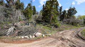 Photo 19 of 2020 W ELK RD