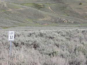 Facing east from western edge of property