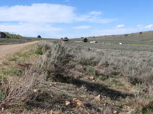 Facing north from western edge of property