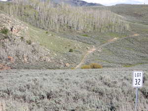 Facing east from western edge of property