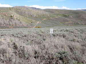 Facing east from western edge of property