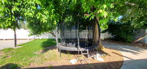 View of yard featuring a trampoline